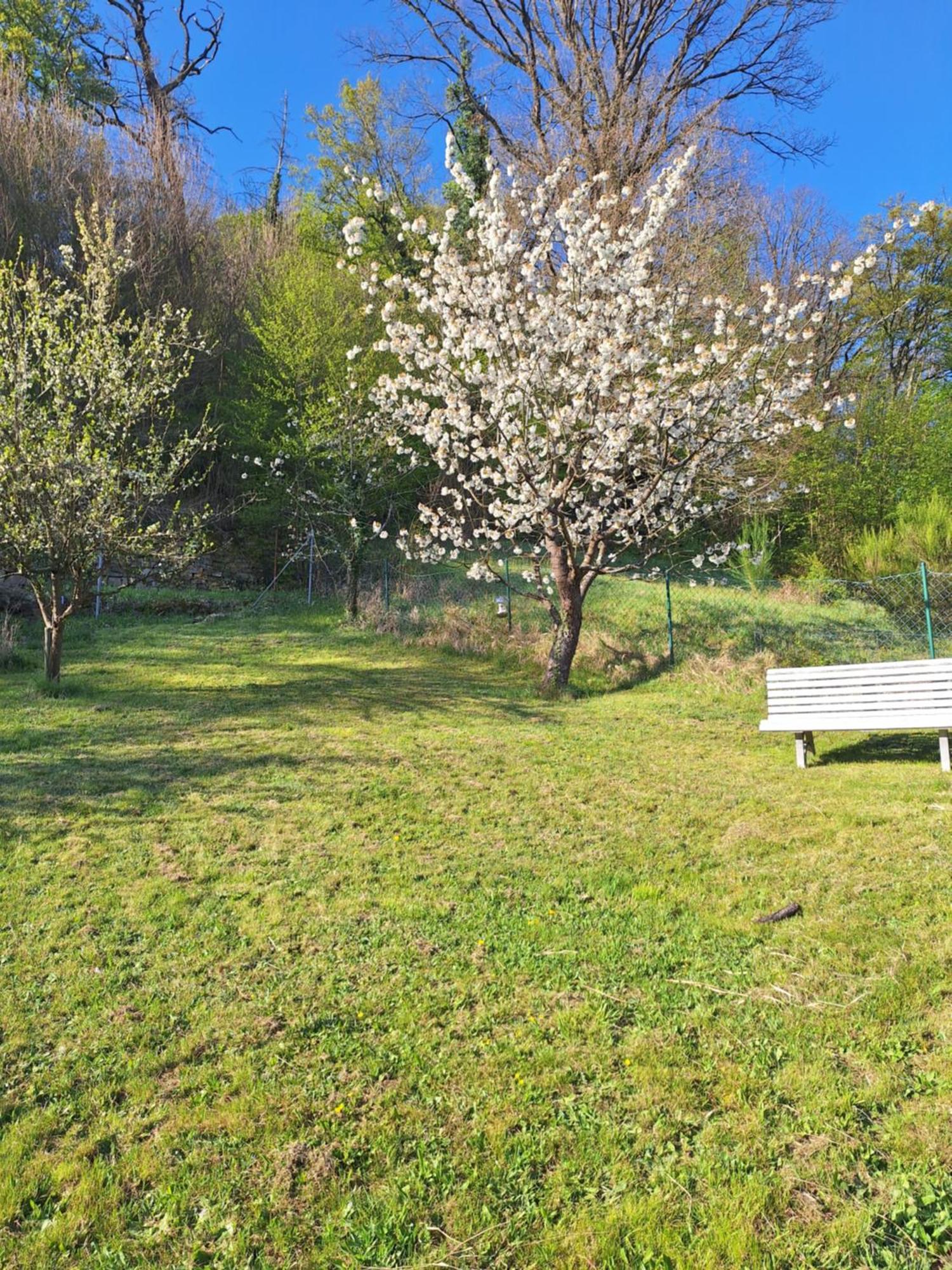 Kleines Domizil Am Suedhang Ortenberg  Bagian luar foto